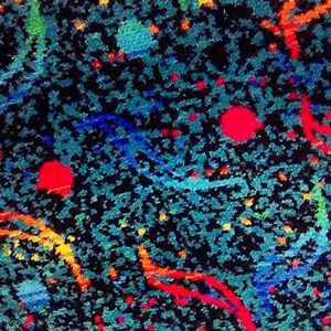 Bus Print Design 15